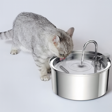 "Transform Your Pet's Hydration, Elevate Their Joy!"