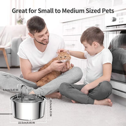 PetPure™ Stainless Steel Water FountainTM